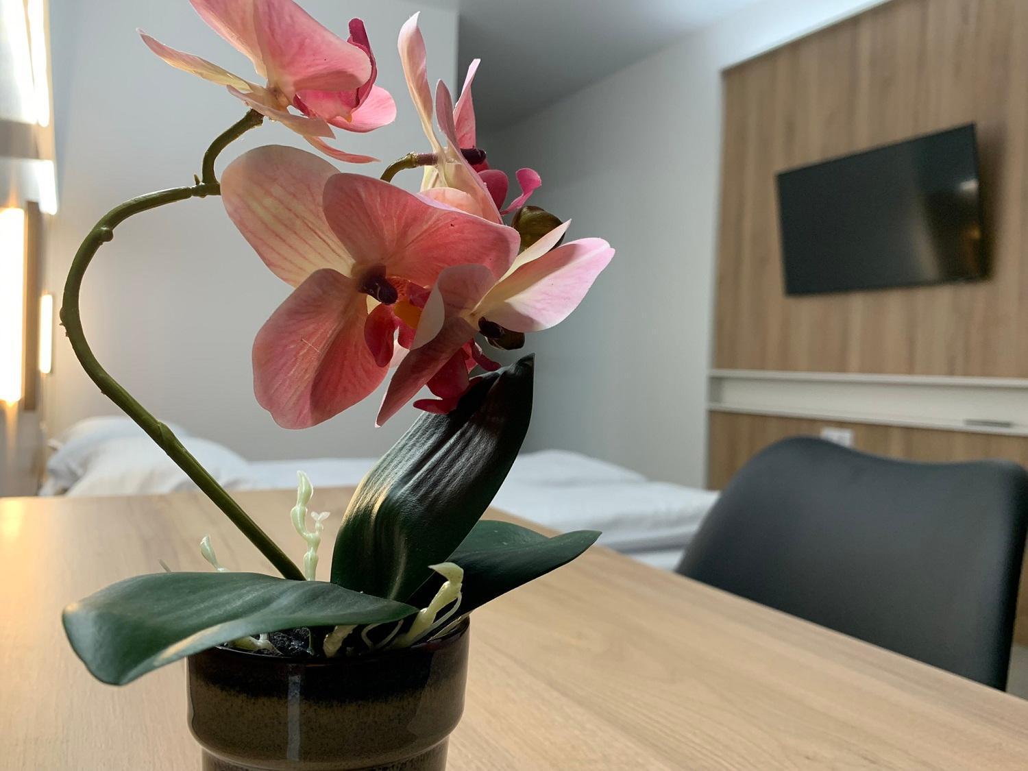 Apartment Oneclickrenrt Oasis Кишинёв Экстерьер фото